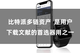 比特派多链资产  是用户下载文献的首选器用之一