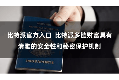 比特派官方入口  比特派多链财富具有清雅的安全性和秘密保护机制