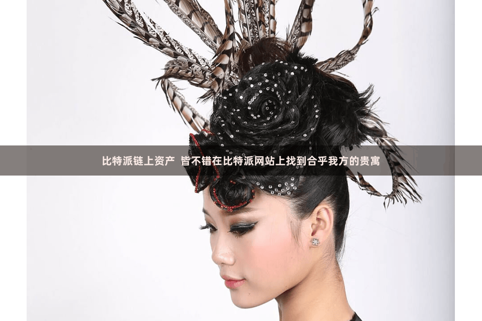 比特派链上资产  皆不错在比特派网站上找到合乎我方的贵寓