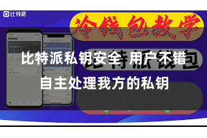 比特派私钥安全  用户不错自主处理我方的私钥
