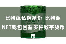 比特派私钥备份  比特派NFT钱包因循多种数字货币