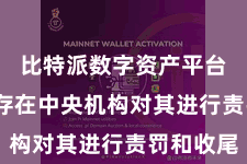 比特派数字资产平台  即不存在中央机构对其进行责罚和收尾