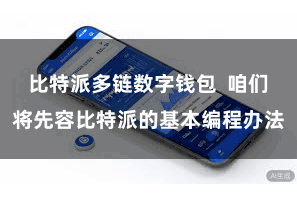 比特派多链数字钱包  咱们将先容比特派的基本编程办法