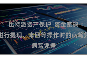 比特派资产保护  资金密码是进行提现、来回等操作时的病笃凭据
