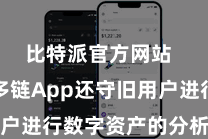 比特派官方网站  比特派多链App还守旧用户进行数字资产的分析和贬责