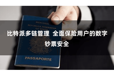 比特派多链管理  全面保险用户的数字钞票安全