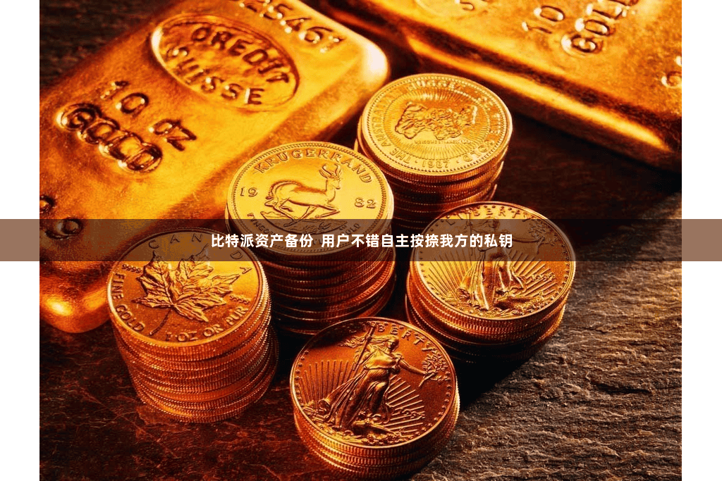 比特派资产备份  用户不错自主按捺我方的私钥